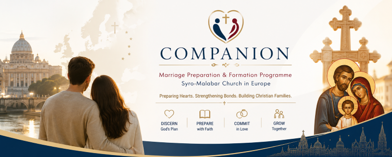 companion (custom) companion (custom)