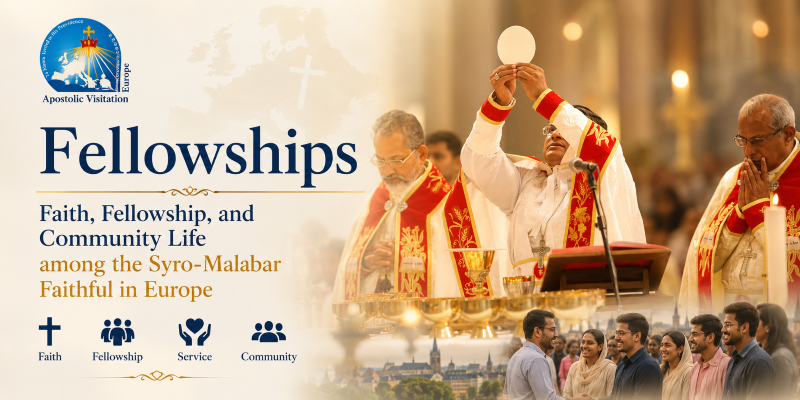 fellowships (custom) fellowships (custom)